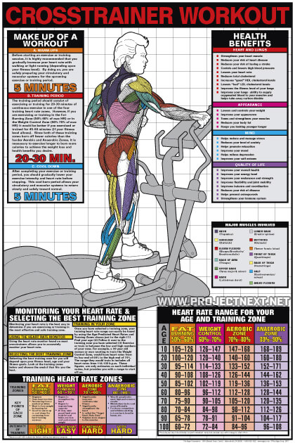 Crosstrainer Workout - Cardio Fat Burning Sixpack Abs Exercise