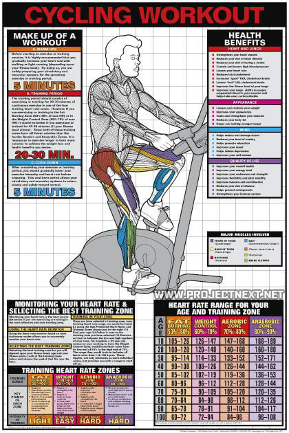 Cycling Workout - Cardio Fat Burning Sixpack Abs Exercise