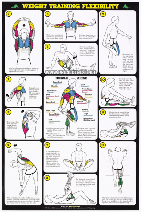 Weight Training Flexibility - Fat Burning Sixpack Abs Exercise