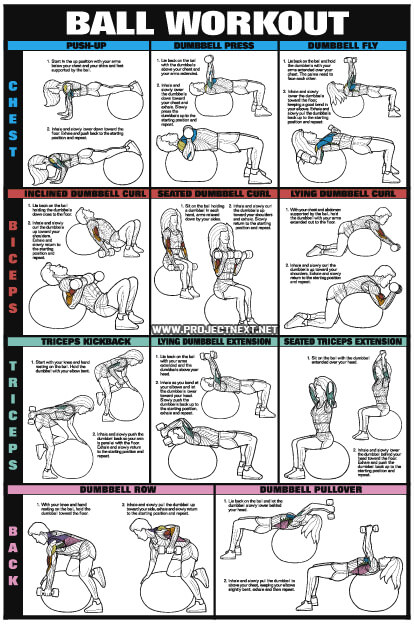 Ball Workout PART 2 - Fat Burning Sixpack Abs Exercise