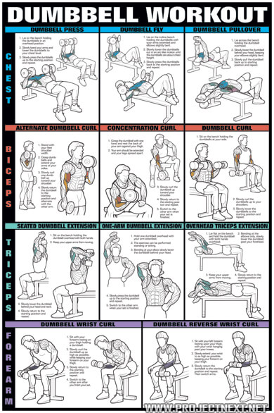 Dumbbell Workout PART 2 - Fat Burning Sixpack Abs Exercise