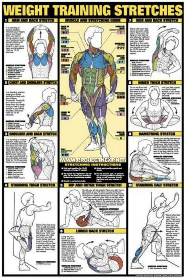 Weight Training Stretches - Fat Burning Sixpack Abs Exercise