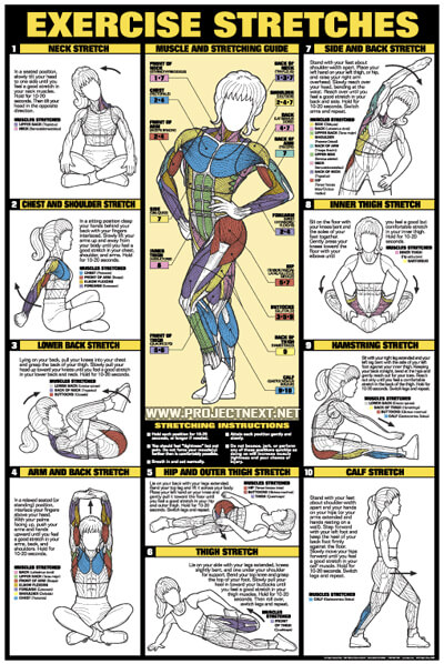 Exercise Stretches - Fat Burning Sixpack Abs Exercise