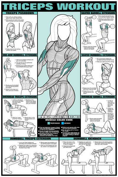 Triceps Workout for Women - Barbell Dumbbell Seated Exercise Gym