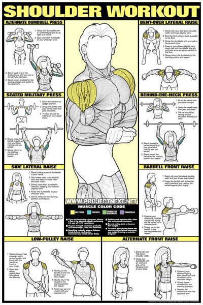 Shoulder Workout - Neck Raise Barbbell Dumbbell Exercise Gym