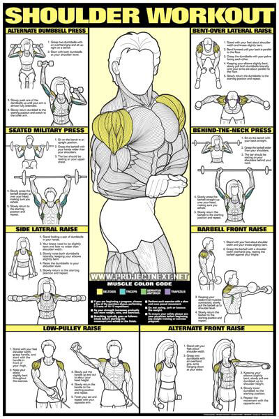 Shoulder Workout Neck Raise Barbbell Dumbbell Exercise Gym
