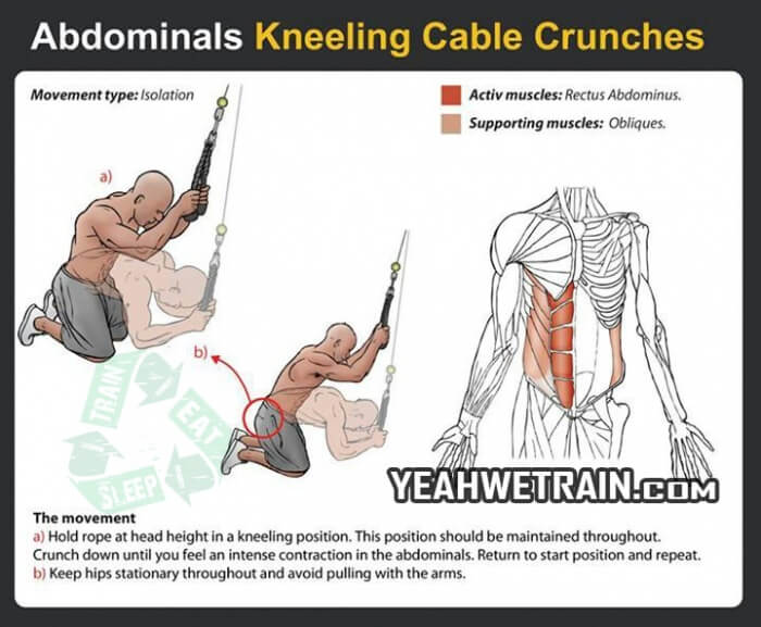 Abdominals Kneeling Cable Crunches - Fitness Exercise Gym