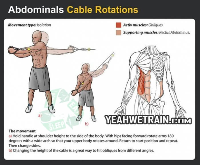 Abdominals Cable Rotations - Fitness Exercise Healthy Gym