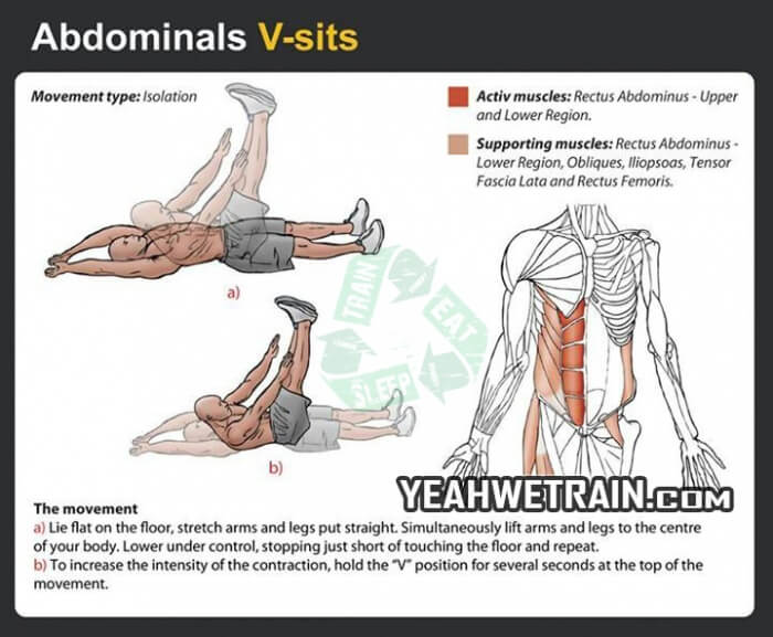 Abdominals V-Sits - Abs Sixpack Fitness Exercise Healthy Gym