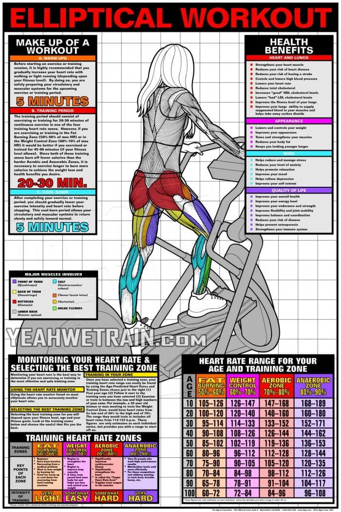 Elliptical Workout - Cardio Fat Burning Sixpack Abs Exercise