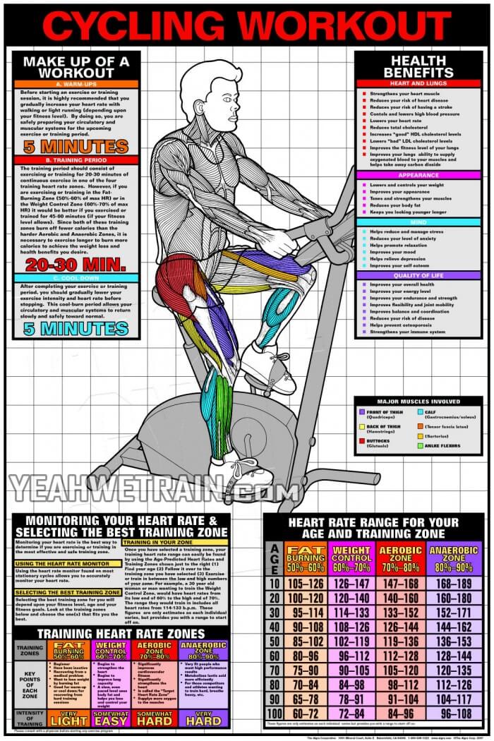 Cycling Workout - Cardio Fat Burning Sixpack Abs Exercise