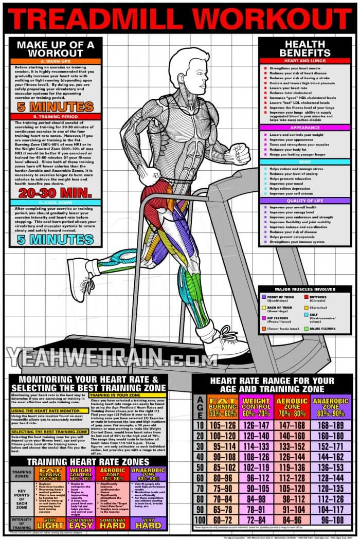 Treadmill Workout - Cardio Fat Burning Sixpack Abs Exercise