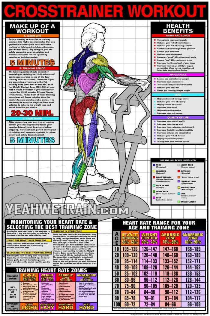 Crosstrainer Workout - Cardio Fat Burning Sixpack Abs Exercise