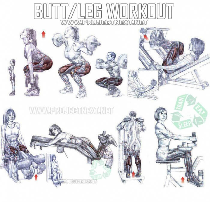 Butt Leg Workout - Healthy Fitness Exercises Gym Squat Press