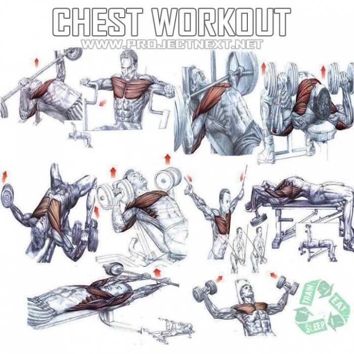 Chest Workout - Healthy Fitness Exercises Gym Bench Press  