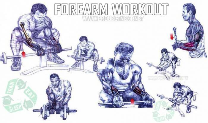 Forearm Workout - Healthy Fitness Exercises Gym Bicep Tricep