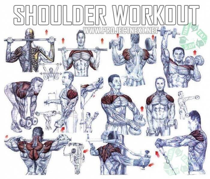 Shoulder Workout - Healthy Fitness Exercises Gym Bicep Press