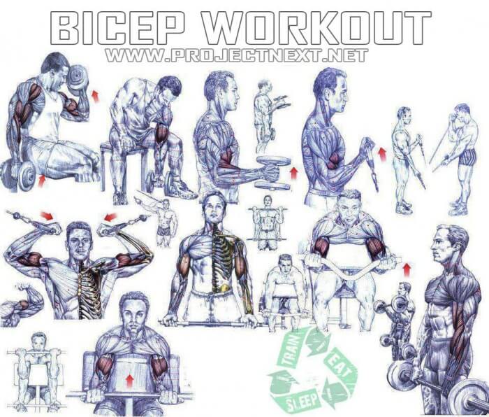 Bicep Workout - Healthy Fitness Exercises Gym Press Tricep