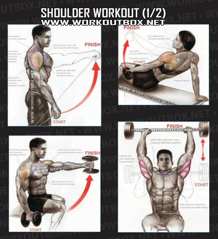 Shoulder Workout Part 1 - Healthy Fitness Exercises Gym Back