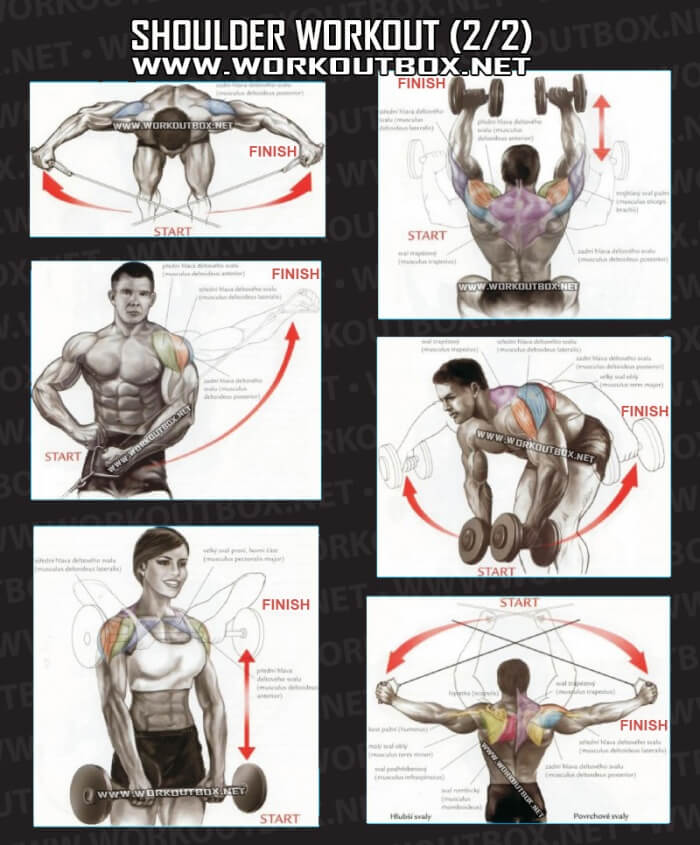 Shoulder Workout Part 2 - Healthy Fitness Exercises Gym Back