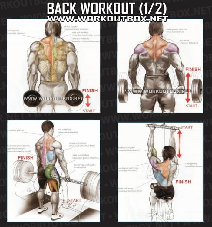 Back Workout Part 1 - Healthy Fitness Exercises Gym Low Shoulder