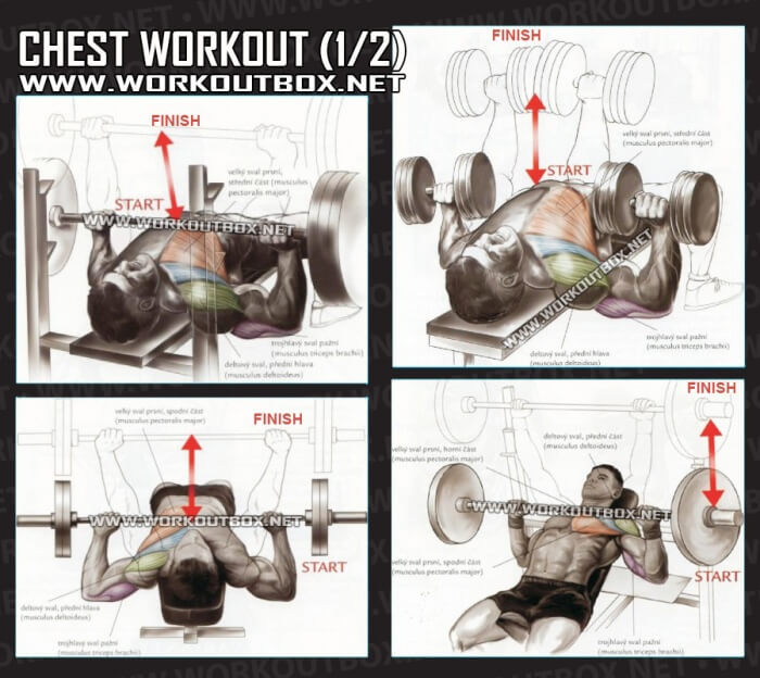 Chest Workout Part 1 - Healthy Fitness Exercises Gym Low Tricep