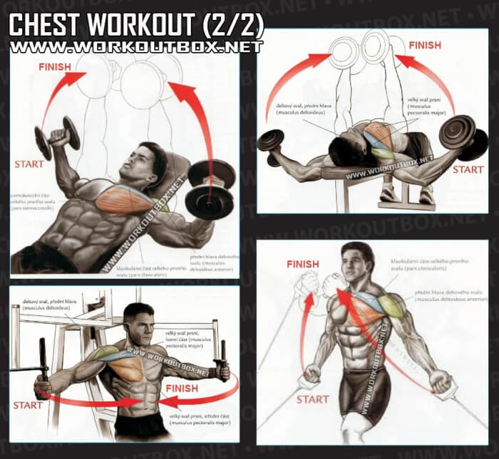 Chest Workout Part 2 - Healthy Fitness Exercises Gym Low Tricep