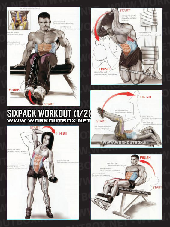 Sixpack Workout Part 2 - Healthy Fitness Exercises Gym Low Abs