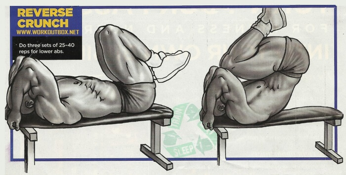 Ab Exercises - Reverse Crunch - Fitness Workouts Gym Healthy