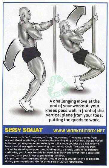 Leg Exercises - Sissy Squat - Fitness Workouts Butt Calves