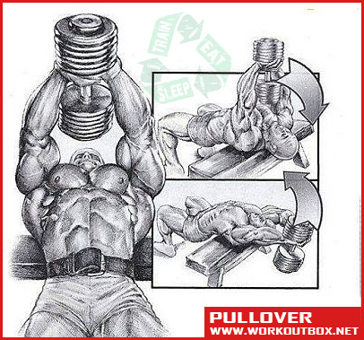 Chest Exercises - Pullover - Fitness Workouts Gym Back Shoulder