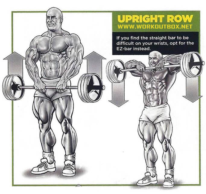 Upright Row - Neck Healthy Fitness Workout Shoulders Back Sixpac