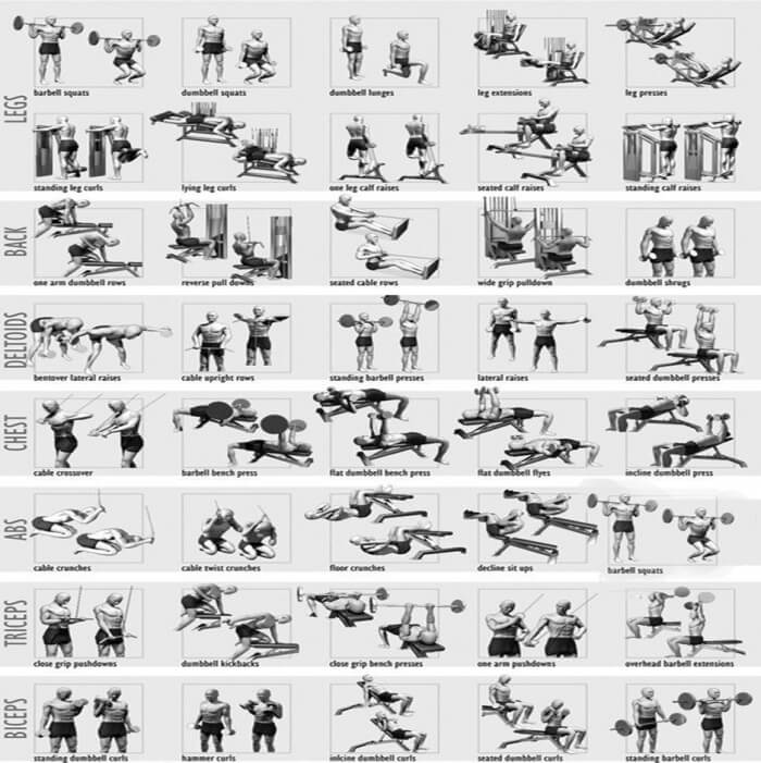 Full Body Workout Plan - Healthy Fitness Training Routine Chest 
