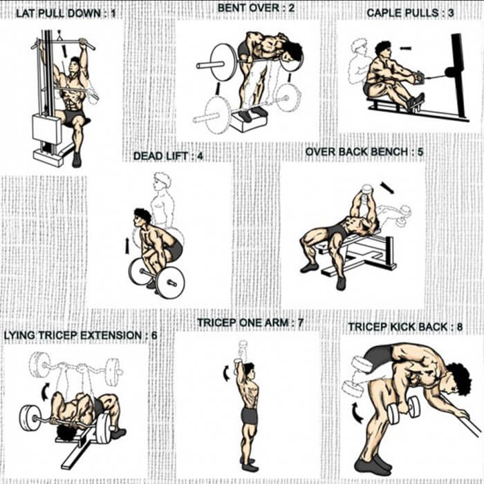 Back And Triceps Exercises - Healthy Fitness Training Routine Ab