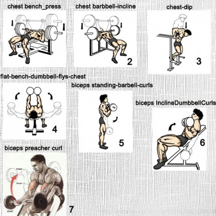 Chest And Biceps Exercises - Healthy Fitness Training Routine Ab
