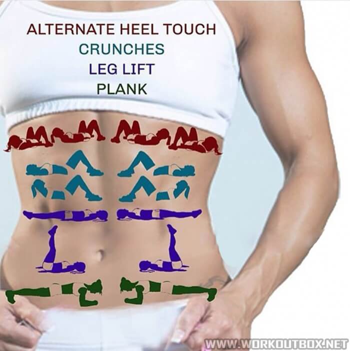 Alternate Hell Touch Crunches Leg Lift Plank - Fitness Training