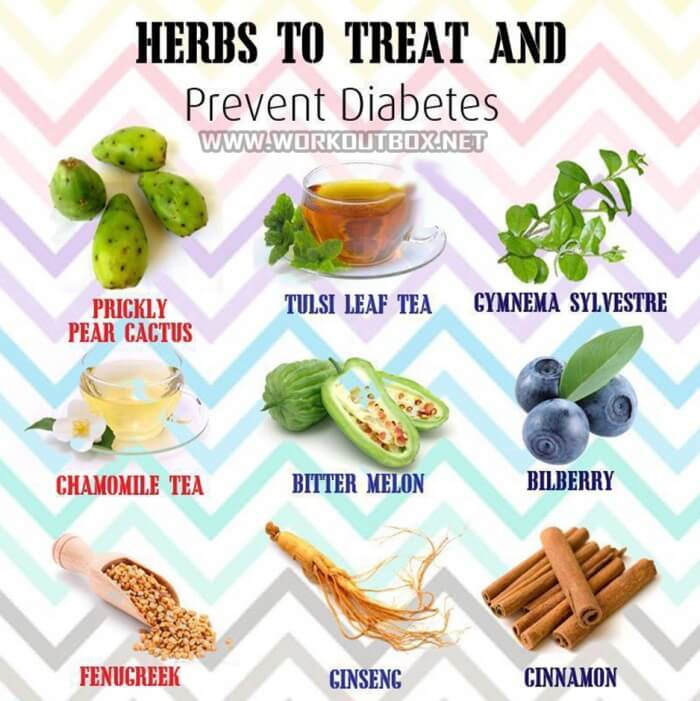 Herbs To Treat And Prevent Diabetes - Healthy Fitness Tips Trick