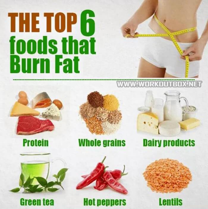 The Top 6 Foods That Burn Fat - Health Fit Tips Tricks Gym Train