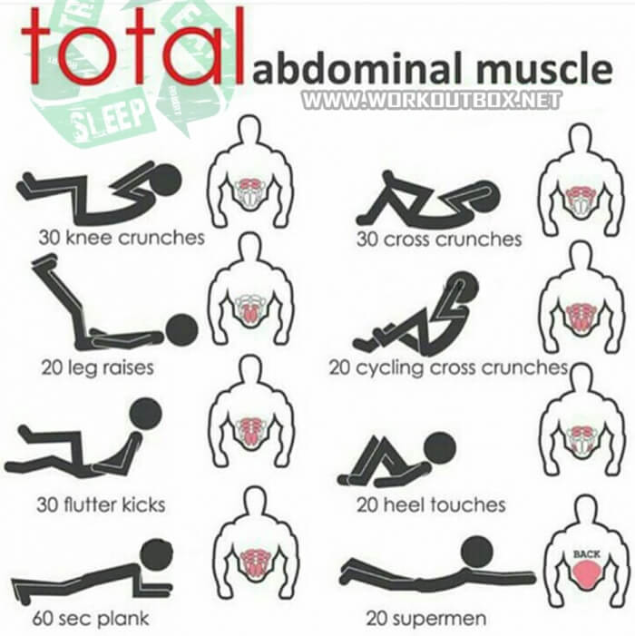 Total Abdominal Muscle - Sixpack Training Workout Plan Abs Power