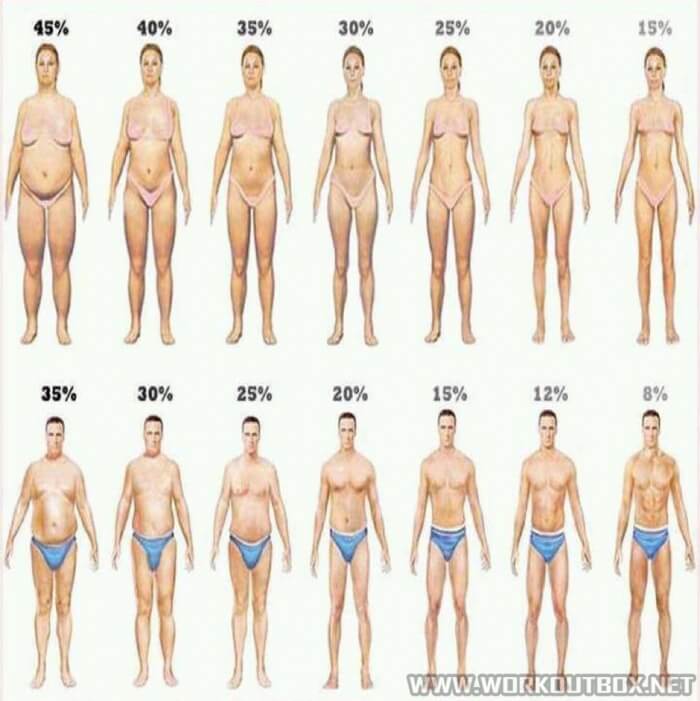 Body Weight vs. Body Fat: What's the Difference? Eat Clean eFit