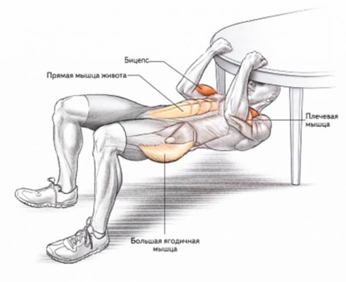 At Home Table Biceps Training - Healthy Fitness Exercises Arm