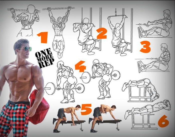 Day 3 : Full Back Workout - Fitness Training Health Body Lower