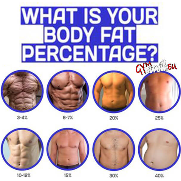 What Is Your Body Fat Percentage? 30? 20? 10? Vote Now
