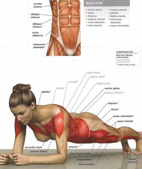 Plank Level 9000 Best Sixpack Exercises Planks Training Sixpack