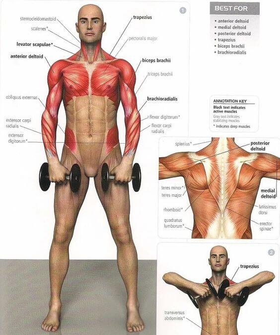 Extrem Shoulder Exercises - Stronger Back Healthy Fitness Upper