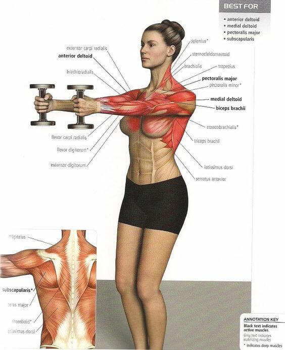 Front Shoulder Training - Stronger Back Healthy Fitness Level