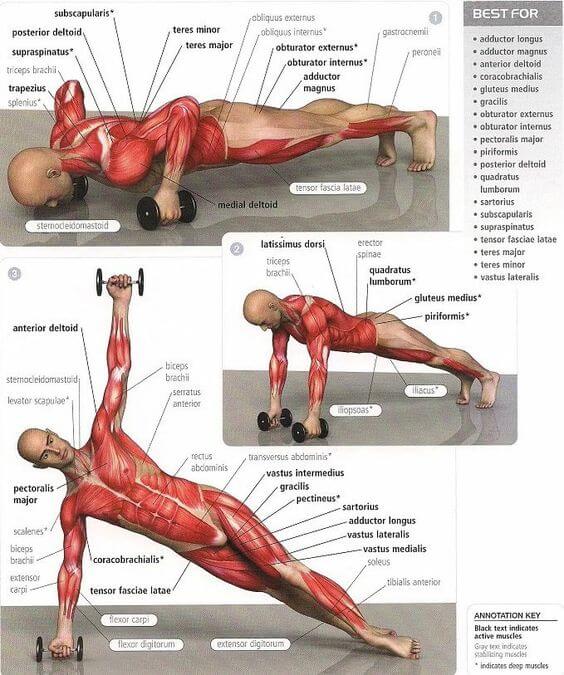 Full Body Push Fitness Exercises - Healthy Fitness Muscle Plan