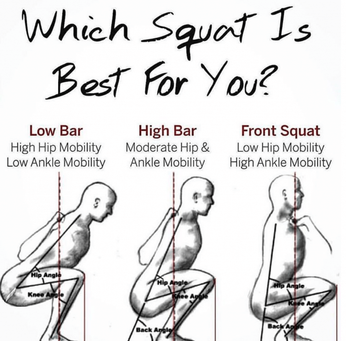 Which SQUAT Is Best For You? Healthy Fitness Workouts And Train