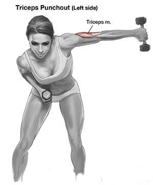 Triceps Punchout ! Healthy Fitness Training Arms Workout 