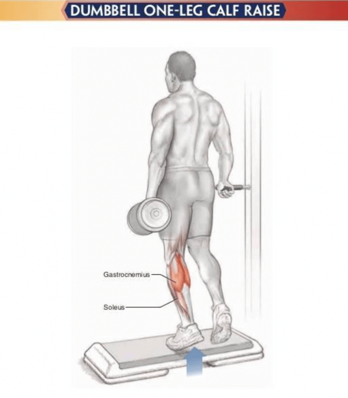 Dumbbell One-Leg Calf Raise - Healthy Fitness Training Exercises